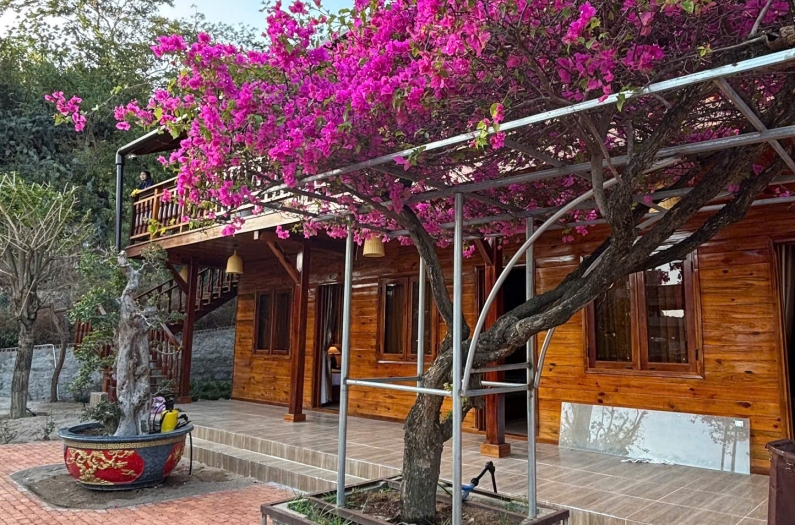Homestay Nhà Gỗ & Coffee Làng Xưa