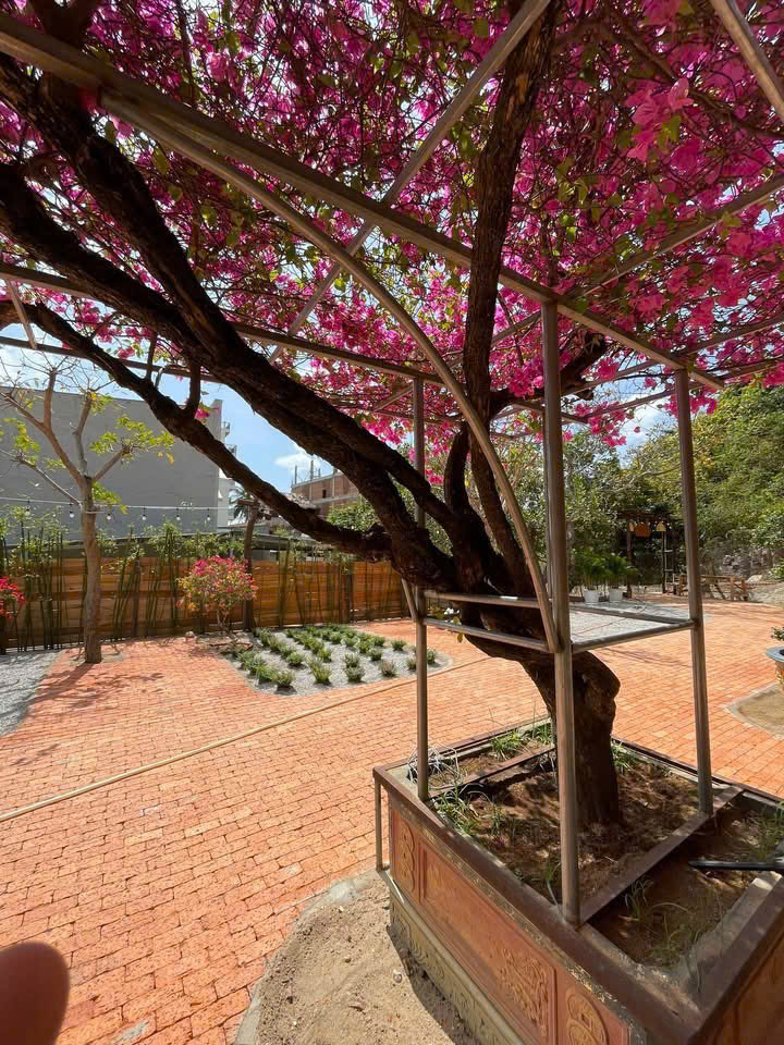 Khách sạn ở Vĩnh Hy