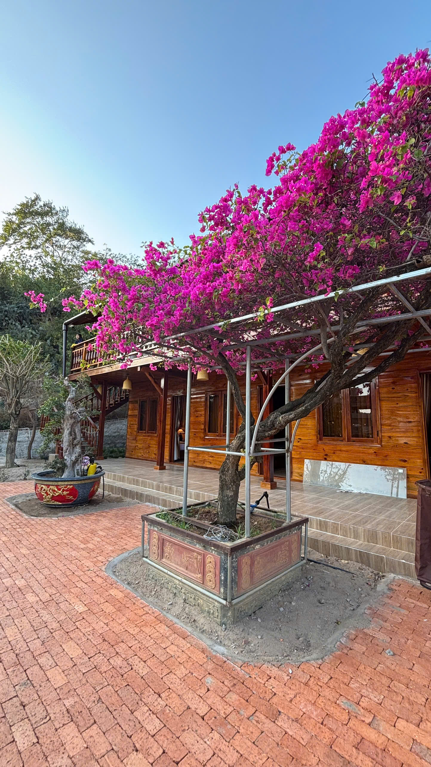 homestay vĩnh hy gần cầu gỗ